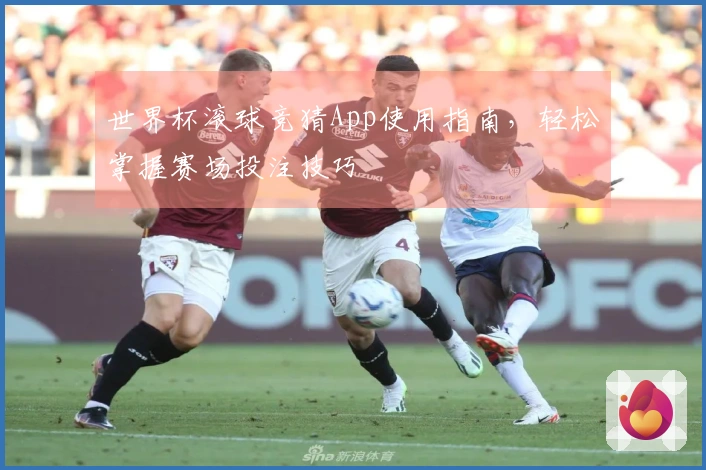世界杯滚球竞猜App使用指南，轻松掌握赛场投注技巧