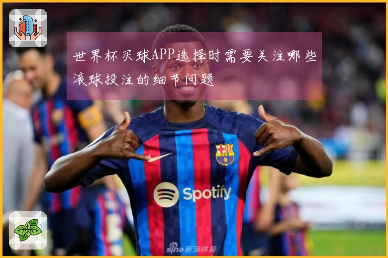 世界杯买球APP选择时需要关注哪些滚球投注的细节问题
