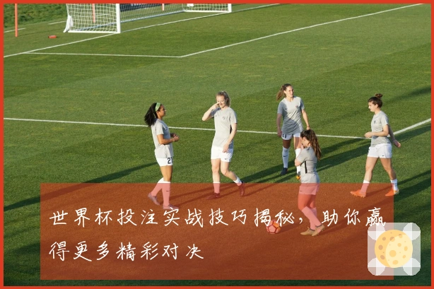 世界杯投注实战技巧揭秘，助你赢得更多精彩对决