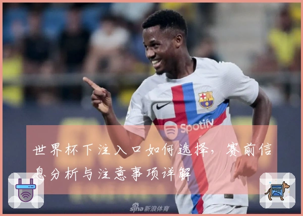 世界杯下注入口如何选择，赛前信息分析与注意事项详解