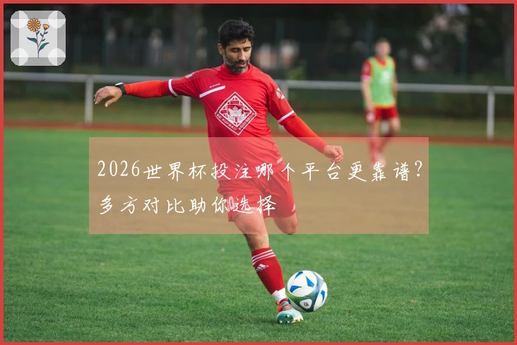 2026世界杯投注哪个平台更靠谱？多方对比助你选择